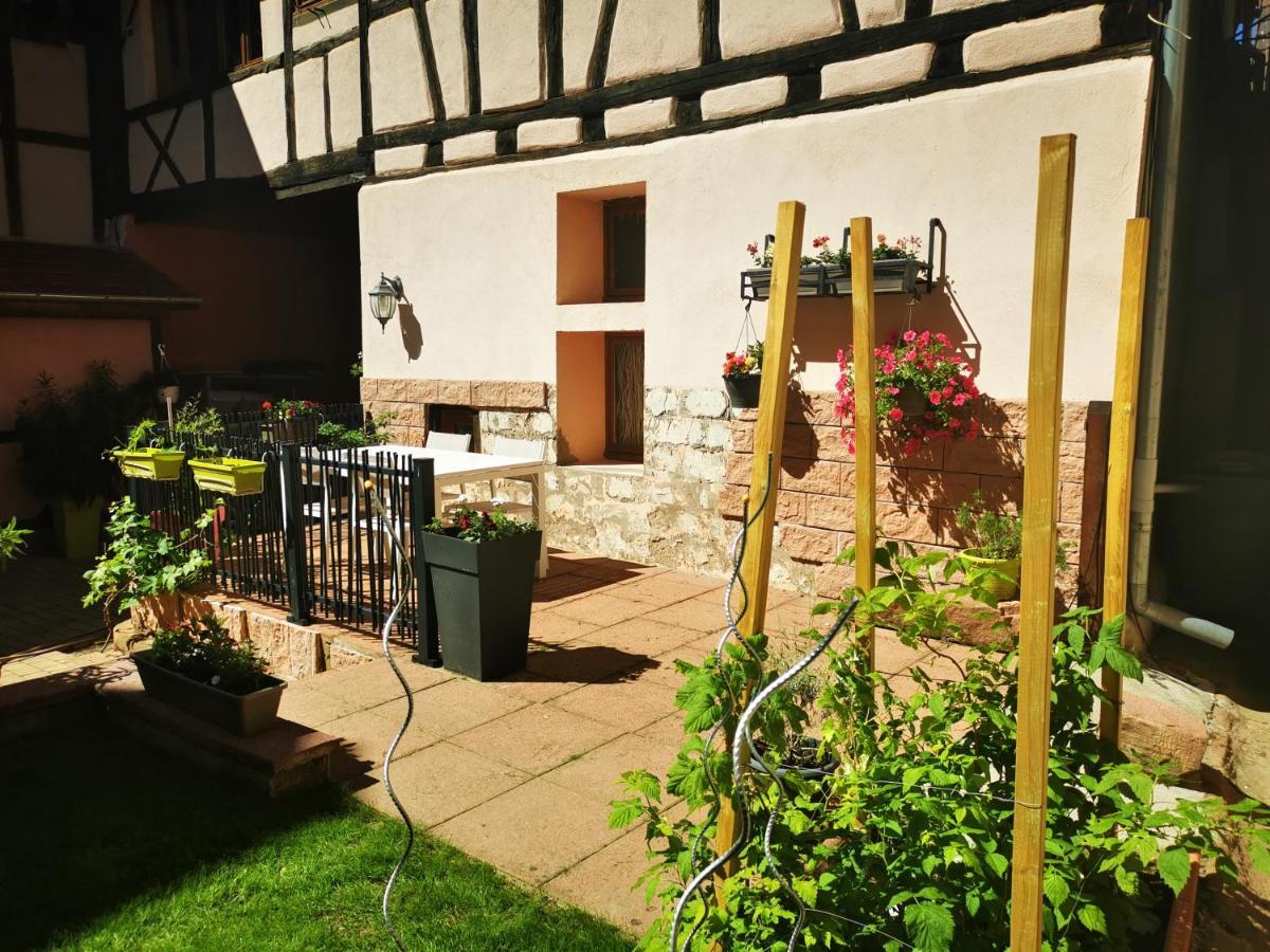 Le Gite De Coco Riquewihr Exterior foto