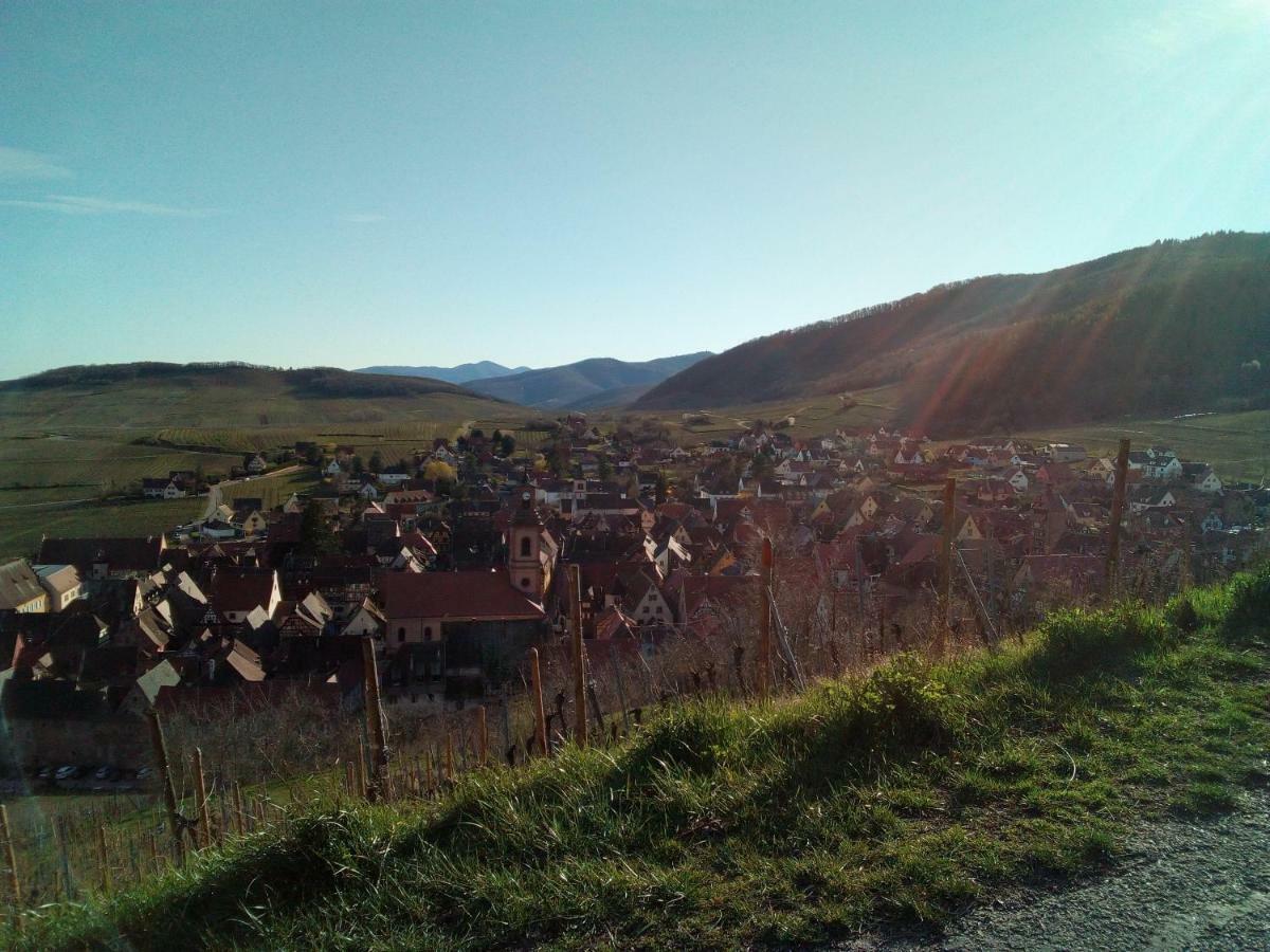 Le Gite De Coco Riquewihr Exterior foto
